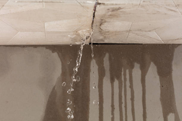 Professional Sewage Cleanup technician working in Crest Hill, IL